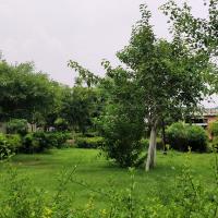Garden2